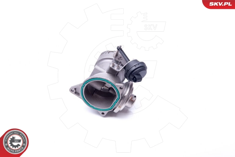EGR Valve